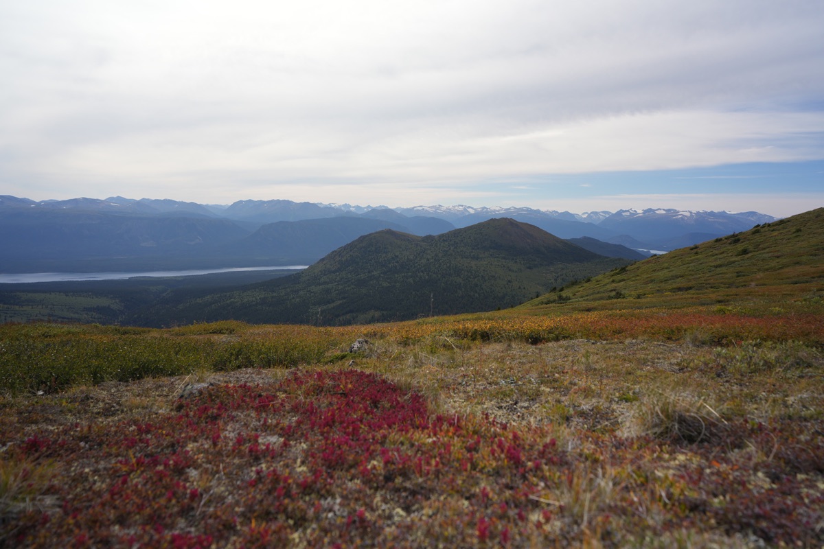 Reliefs et végétation rouge de la toundra, avec les montagnes à l’horizon
